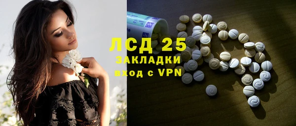 индика Балабаново