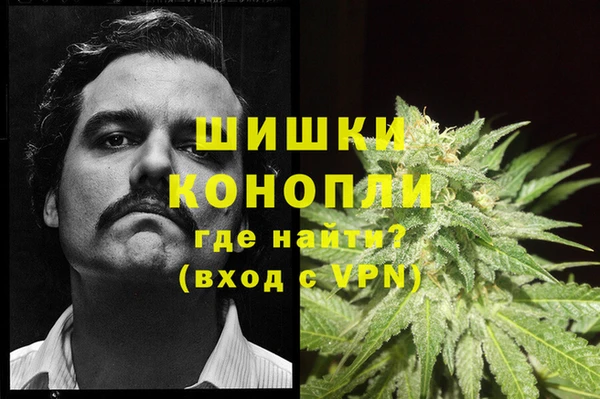 индика Балабаново