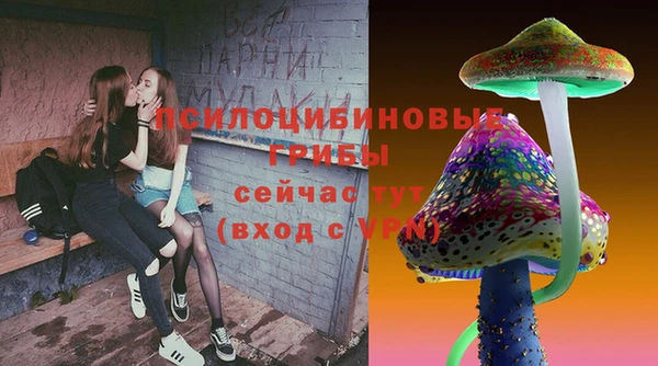 индика Балабаново