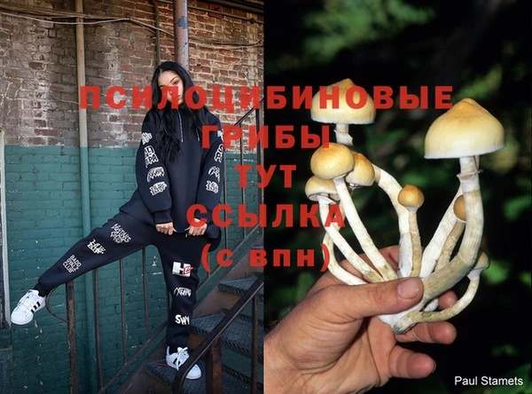 кокаин премиум Сосновый Бор