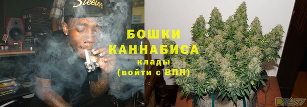 дмт Сосновоборск