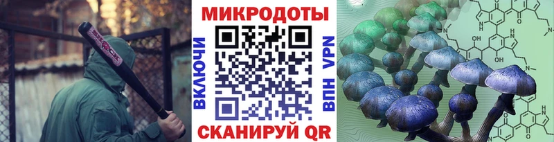 сколько стоит  мега ССЫЛКА  Галлюциногенные грибы Magic Shrooms  Белая Холуница 